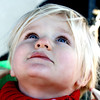 SmugMug > all-time keyword > looking > Victoria 2008 >  looking 2