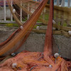 SmugMug > all-time keyword > net > Fishing net repair shop
